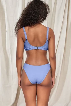 Clearance Sunsets Pacifica Hydrangea Oceana Top