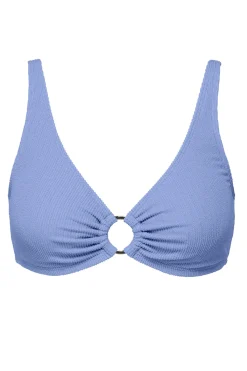 Clearance Sunsets Pacifica Hydrangea Oceana Top